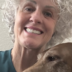 Lolly Delli Gatti's profile photo